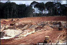 De gevolgen van mijnbouw in het Amazonegebied