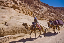 Trekking per kameel