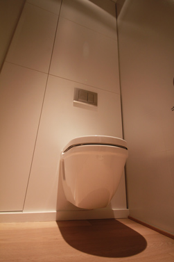 Ook is het toilet wat hoger geplaatst zodat je gemakkelijer kan gaan zitten en rechtstaan. 