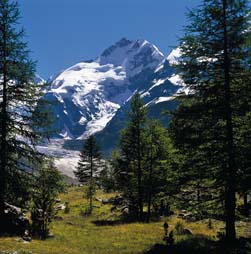 Blik op piz bernina, hoogste berg Graubünden
