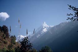 Een van de vele mooie zichten op de Himalya