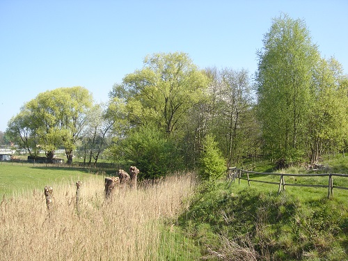 Anderlecht_Vogelzangbeek_Toulouzthatblues