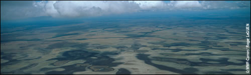 De klimaatverandering in het Amazonegebied