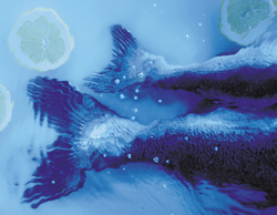 Dossier Voeding en gezondheid - vis