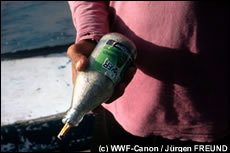 visserij met dynamiet