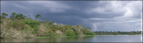 Bedreigingen voor het Amazonegebied