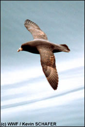 REACH moet de identificatie van de gevaarlijkste chemische stoffen mogelijk maken, evenals de geleidelijke afbouw van de productie ervan