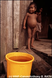 De blootstelling van kinderen aan PCB's kan negatieve gevolgen hebben voor hun neurologische en mentale ontwikkeling