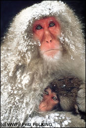 We hebben een unieke gelegenheid om te kiezen voor een veiligere toekomst voor onze kinderen en het milieu 