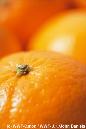 Onze voedingswaren kunnen wel 1000 verschillende chemische stoffen bevatten