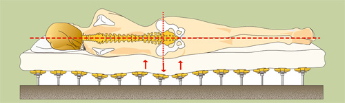 Slapen zonder rugpijn: anatomisch slaaphouding
