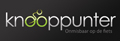 Knooppunter