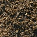 grove veenbrokjes en stukjes schors