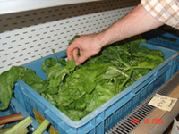 Copywright WWF-Belgium