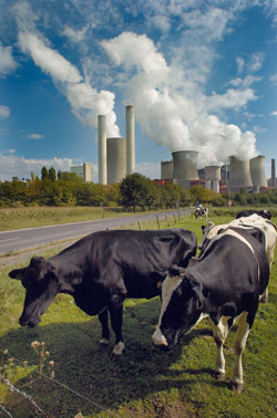 Copywright Andrew KERR/WWF-Canon