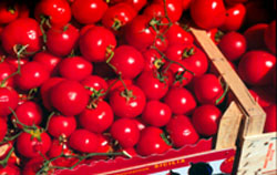 Copywright Meg GAWLER/WWF-Canon