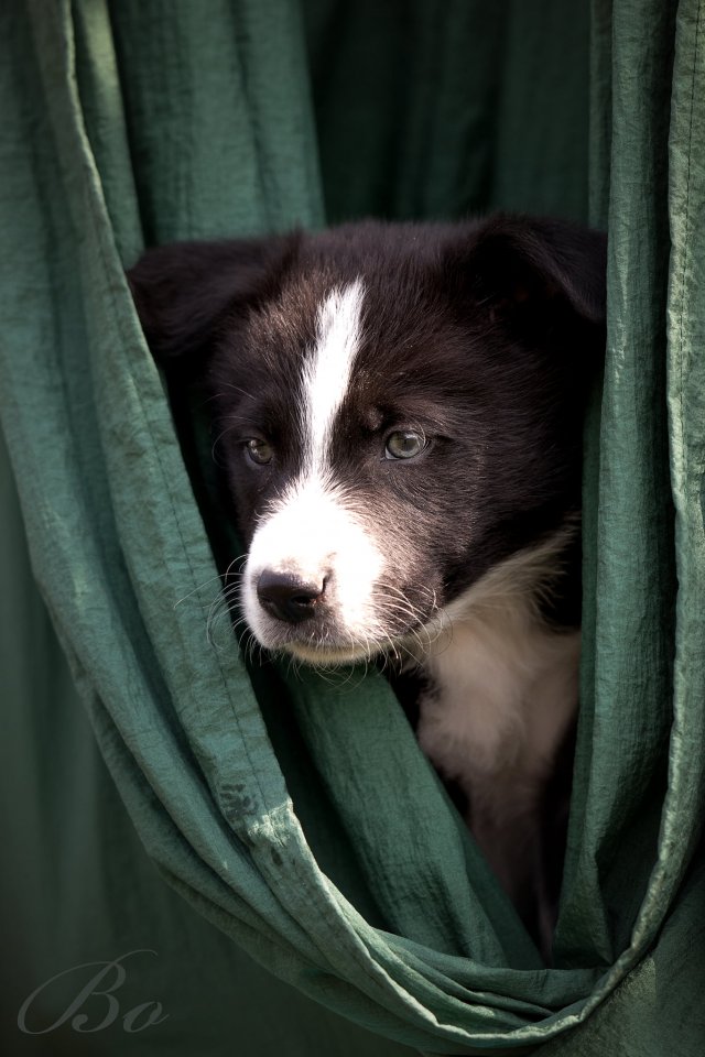 SeniorenNet Grappig Of Schattig Waar Verstop Je Je Nu SeniorenNet Grappig Of Schattig Waar Verstop Je Je Nu