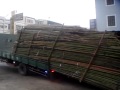 3.000 kg bamboe lossen doe je zo