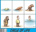 De cirkel van het leven...