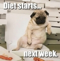 Volgende week ga ik mijn dieet starten