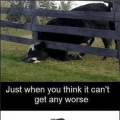 Juist wanneer je denkt dat het niet meer erger kan... ben je alsnog fout