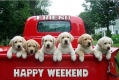 happy weekend