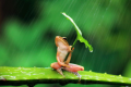 singing in the rain!