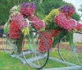 bloemenfietsers? Fietserbloemen?