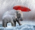 I'm singing in the rain.....