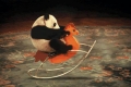 speelvogels zijn die panda's