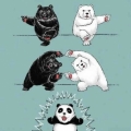 zo ontstaan panda's