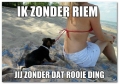 goed getrainde hond!