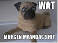 maandag?????