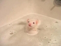 een muis in mijn bad.....
