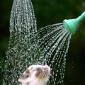 leuke douche!