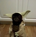 I Yoda!