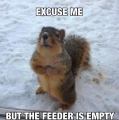 'sorry, maar de voederbak is leeg'