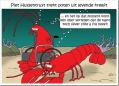 arme kreeft...