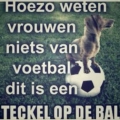 een teckel