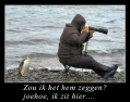 zal ik het zeggen?