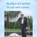 mijn hond is niet verwend, IK ben goed getraind!