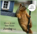 ik voel me goed.....