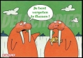 beter flossen!
