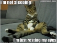 ik slaap nie, ik laat enkel mijn ogen rusten...