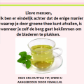 groene thee en de waarheid!