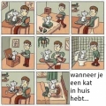 een kat in huis!