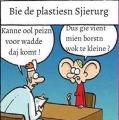 bij de plastieke Sjierurg