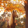 herfstpaard?