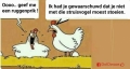 eigen schuld....