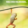 volhouden!!!